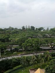 Lagoon View (D15), Apartment #292939521